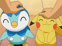 The Pokemon starters Fan Club!