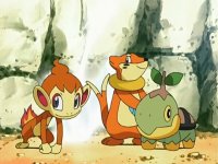 The Pokemon starters Fan Club!