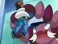 [PokeCommunity.com] The most violent thing a pokemon has done