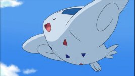 Dawn (anime), Pokémon Wiki