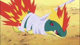 Dawn (anime)  Pokemon, Anime, Fire type pokémon
