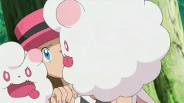 serena swirlix