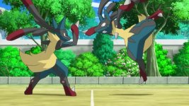 mega lucario vs mega lucario