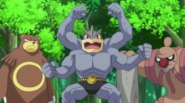 ursaring machamp conkeldurr the forest champion