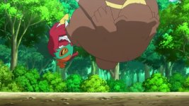 hawlucha kicks ursaring