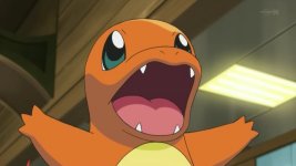 charmander summer of discovery