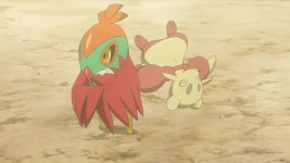 hawlucha beats mienfoo