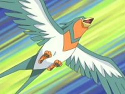 https://www.serebii.net/anime/shiny/swellow.jpg