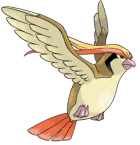 #016 - #018 Pidgey, Pidgeotto e Pidgeot - Página 2 18