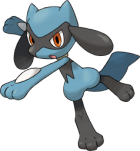 Riolu Art