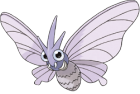 Venomoth Art