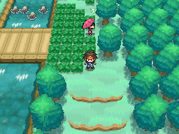Pokemon Black 2 and White 2  Yancy/Curtis Call Locations 