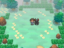 Pokémon Unova Pokédex Pokémon Black/pokémon White Shadow 