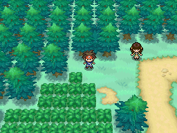 Hidden Grottoes - Pokemon Black 2 and White 2 Guide - IGN