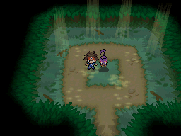 Pokémon Black 2 & White 2 : 7 Secret Sub-Events Reward & Locations (HQ) 