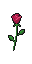 Ivysaur - Ficha de Ame Rose