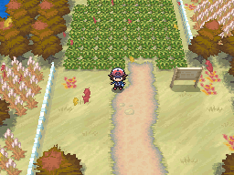 Pokémon Black & White - Version Changes - Area Changes