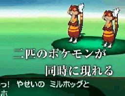 Pokémon - Black & White