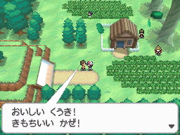 Pokémon Black 2 & Pokémon White 2 - Dream World - Pleasant Forest