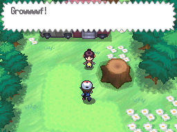 Pokémon Black & White - In-Game Events