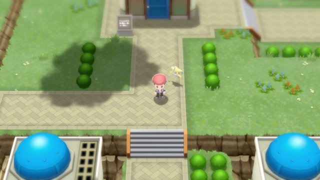 lidenskabelig heltinde hungersnød Pokémon Brilliant Diamond & Shining Pearl - Following Pokémon