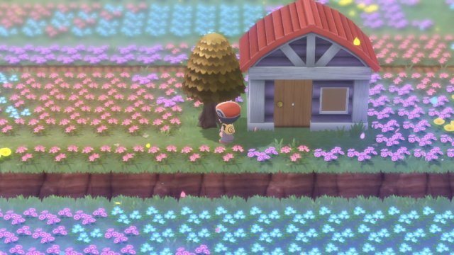 Honey Trees