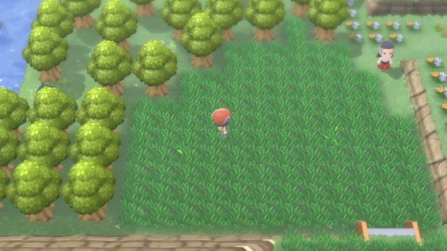 Pokemon Brilliant Diamond and Shining Pearl Are Missing the Overworld  Shinies From Pokemon Let's Go