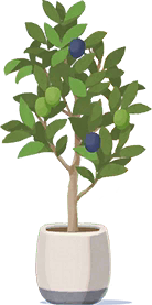 Beloved Plants