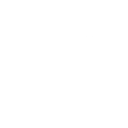 Floating Item