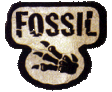 Fossil