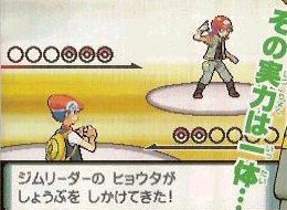 [PokeCommunity.com] Diamond and Pearl Gym Leaders?