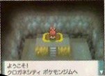 [PokeCommunity.com] Diamond and Pearl Gym Leaders?