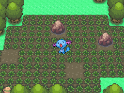 pokemon diamond safari game