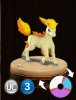 Ponyta