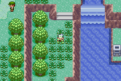 safari pokemon in emerald