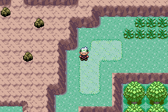 Pokemon Emerald :: Safari Zone Upgrade