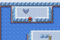 Pokémon FireRed & LeafGreen - Pokémon