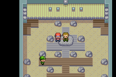 Pokémon LeafGreen - Gym Leaders