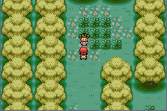 Pokémon & LeafGreen Interactable