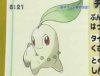 Chikorita