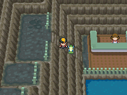 Johto Route 47: Remaster ▻ Pokémon Heart Gold & Soul Silver 