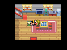 Pokémon Heart Gold & Soul Silver - Trainer House