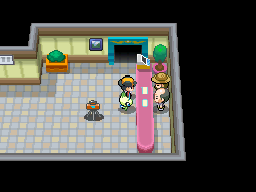 Pokémon Heart Gold & Soul Silver - Trainer House