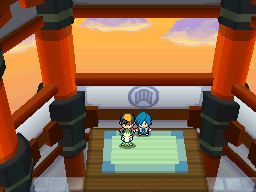 Pokemon Heart Gold Soul Silver Gym Leaders