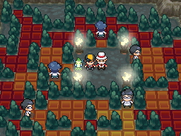 Pokemon Heart Gold Soul Silver Gym Leaders