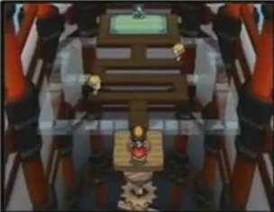 HeartGold & Soul Silver - Gym Leaders