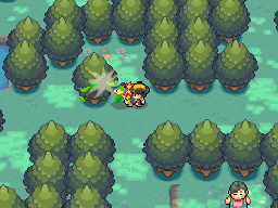 Pokémon Heart Gold & Soul Silver - Headbutt Trees