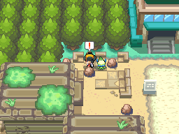 Pokémon Heart Gold & Soul Silver - Ruins of Alph