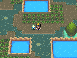 HeartGold & Soul Silver - Safari Zone