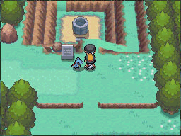 [PokeCommunity.com] FAQ & Known Information - Read Before Posting Questions